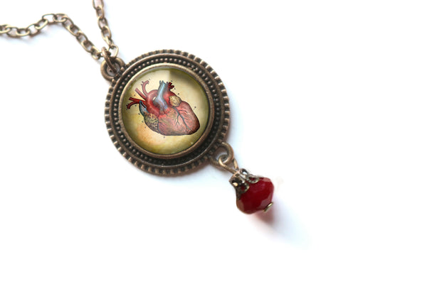 Anatomical Heart Pendant Necklace with Bead Accent