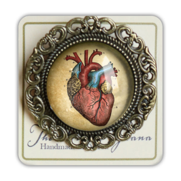 Anatomical Heart Reversed Decoupage Glass and Brass Brooch