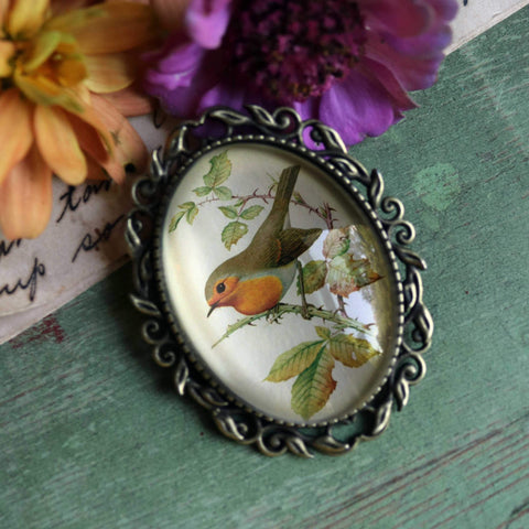 Spring Robin Large Oval Cottage Core Brooch